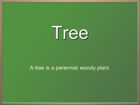 Tree A tree is a perennial woody plant.. Definition  A minimum height specification at maturity is cited by some authors, varying from 3 m to 6 m; some.