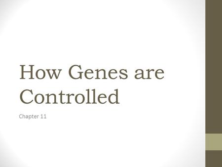 How Genes are Controlled Chapter 11. Human Cells…. All share the same genome What makes them different????