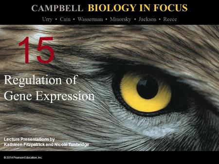 Regulation of Gene Expression