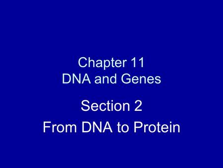 Section 2 From DNA to Protein