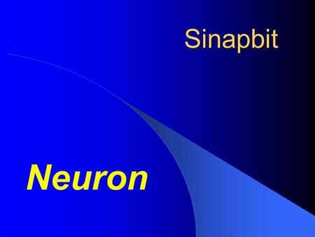 Sinapbit Neuron. Common Problems at Enterprises  Data Integration  Data Input.