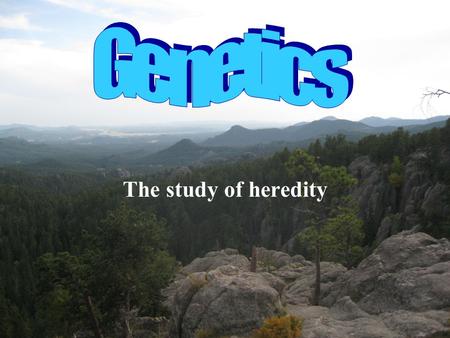 Genetics The study of heredity.