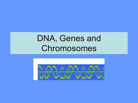 DNA, Genes and Chromosomes. Frederick Griffith 1928 Are genes made up of DNA or protein? Griffith did an experiment with mice and two different strains.