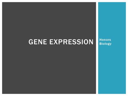 Gene Expression Honors Biology.