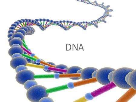 DNA What does it.