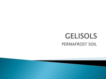 GELISOLS PERMAFROST SOIL.