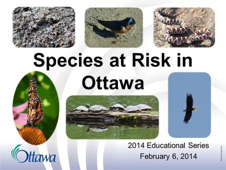 Species at Risk in Ottawa 2014 Educational Series February 6, 2014.