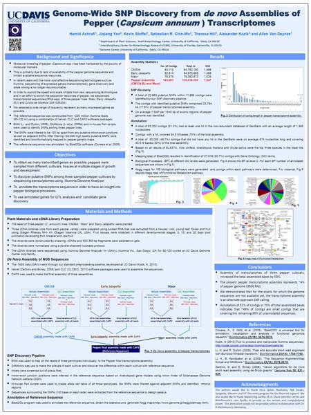 Genome-Wide SNP Discovery from de novo Assemblies of Pepper (Capsicum annuum ) Transcriptomes Hamid Ashrafi 1, Jiqiang Yao 2, Kevin Stoffel 1, Sebastian.