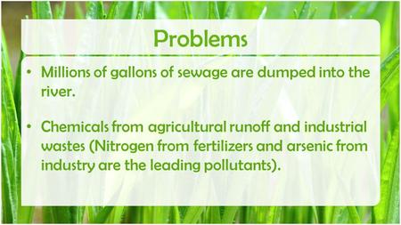 Problems Millions of gallons of sewage are dumped into the river.