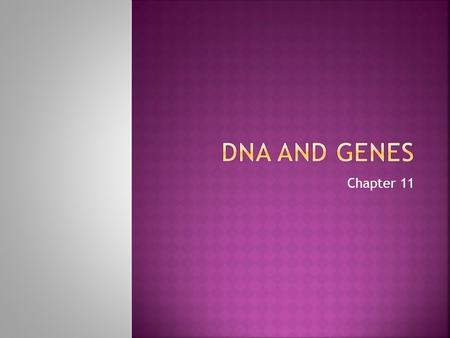 Chapter 11. Chapter 11, Section 1  Determines an organism’s traits  Produces proteins.