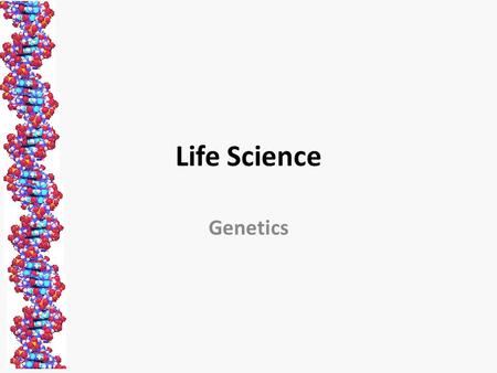 Life Science Genetics. Genetics The study of heredity, how traits are passed from parent to offspring x = or.