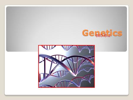 Genetics BIO.B.2. Protein Synthesis RNA Made up of 1.Phosphate 2.Ribose (a sugar) 3.Four bases RNA bases are: ◦Adenine ◦Guanine ◦Cytosine ◦Uracil (instead.