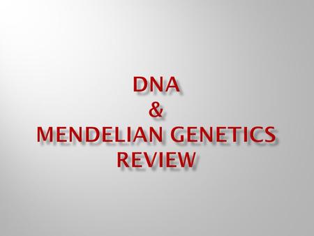  Genetic material found in the nucleus of eukaryotic cells; in the cytoplasm of prokaryotes (no nucleus)  A library of genetic information (genes) located.