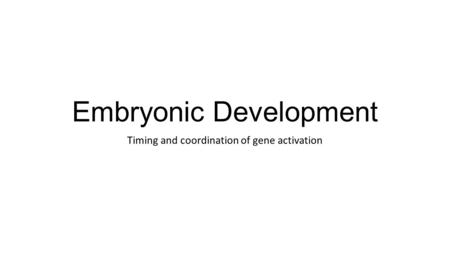 Embryonic Development