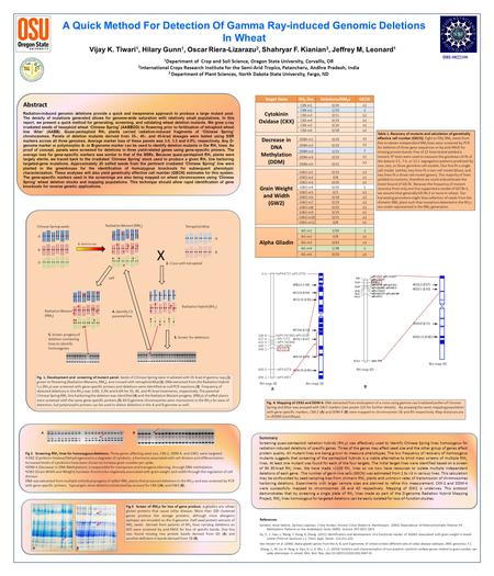 A Quick Method For Detection Of Gamma Ray-induced Genomic Deletions In Wheat DBI-0822100 Vijay K. Tiwari 1, Hilary Gunn 1, Oscar Riera-Lizarazu 2, Shahryar.