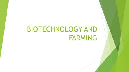 BIOTECHNOLOGY AND FARMING. RICE  10 YEARS- 150 million dollars later……………………..  Rice that is enriched with vitamin A- it was modified using 2 genes-