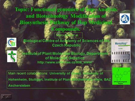 Topic: Functional genomics of hop: Analysis and Biotechnology Modification of Biosynthesis Pathway of Hop Medicinal Compounds. Biological Centre of Academy.