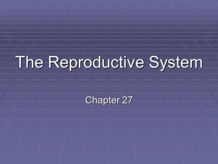 The Reproductive System