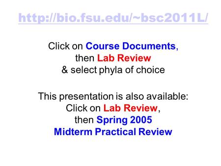 Click on Course Documents, then Lab Review & select phyla of choice This presentation is also available: Click on Lab Review,