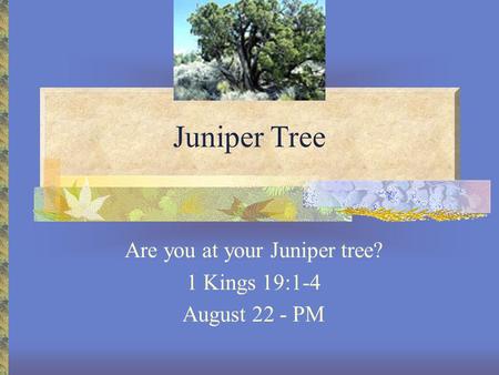 Juniper Tree Are you at your Juniper tree? 1 Kings 19:1-4 August 22 - PM.