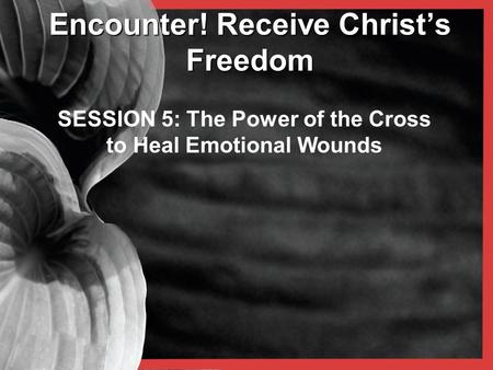 Encounter! Receive Christ’s Freedom