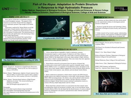 Fish of the Abyss: Adaptation to Protein Structure in Response to High Hydrostatic Pressure Bailey Wattron, Department of Biological Sciences, College.