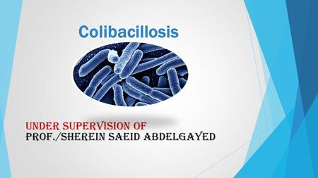 under supervision of Prof./Sherein Saeid Abdelgayed