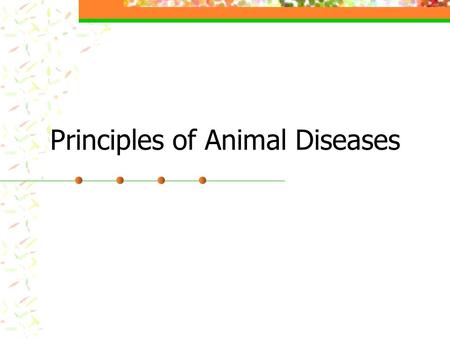 Principles of Animal Diseases