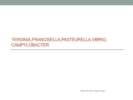 Yersinia,FRANCISELLA,PASTEURELLA,VIBRIO, CAMPYLOBACTER