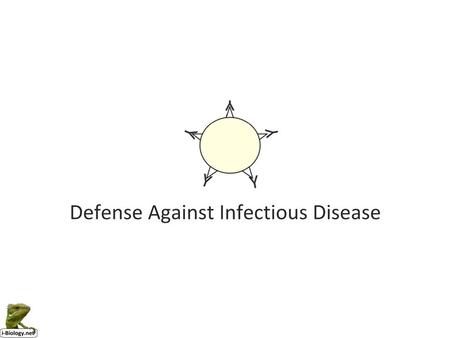 Prokaryotes (no real nucleus) Divide by binary fission Bacteria Prokaryotes (no real nucleus) Divide by binary fission Can cause: Food poisoning.