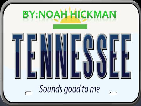  TENNESSEE OFFICIAL LANGUAGE:ENGLISH  DEMONYM : TENNESSEAN  CAPITAL : NASHVILLE  LAGEST CITY : MEMPHIS  LARGEST METRO AREA : NASHVILLE METROPOLITAN.