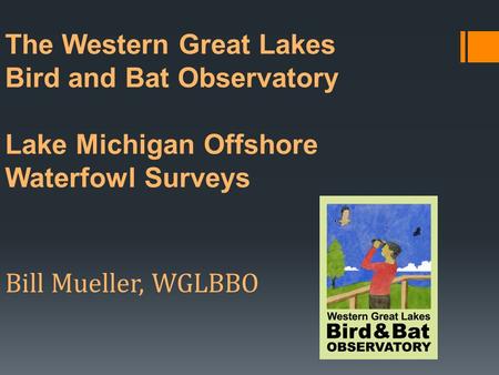 The Western Great Lakes Bird and Bat Observatory Lake Michigan Offshore Waterfowl Surveys Bill Mueller, WGLBBO.