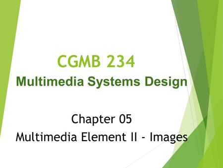 Multimedia Systems Design