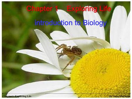 Chapter 1 Exploring Life