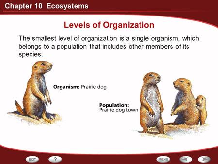 Levels of Organization