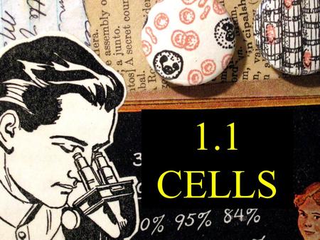 1.1 CELLS.