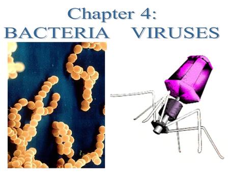 1.Antibiotic- _________________________________________________________ _________________________________________________________________ 2. Asexual Reproduction-