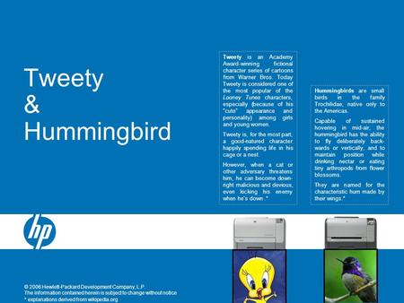 © 2006 Hewlett-Packard Development Company, L.P. The information contained herein is subject to change without notice Tweety & Hummingbird Hummingbirds.