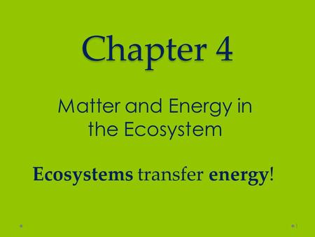 Matter and Energy in the Ecosystem