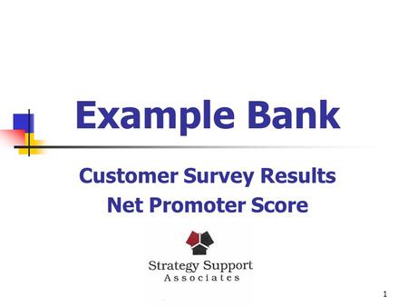 1 Example Bank Customer Survey Results Net Promoter Score.