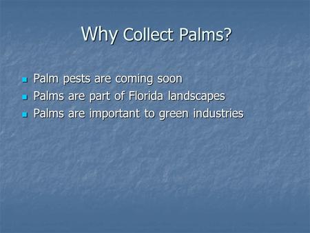 Why Collect Palms? Palm pests are coming soon