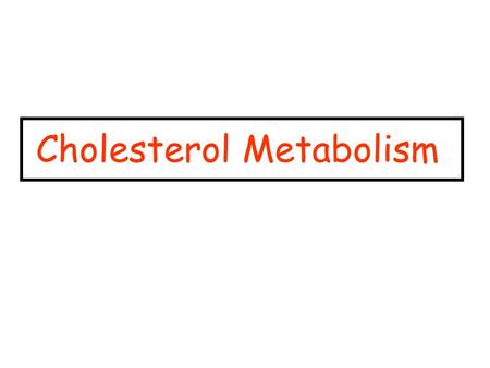 Cholesterol Metabolism