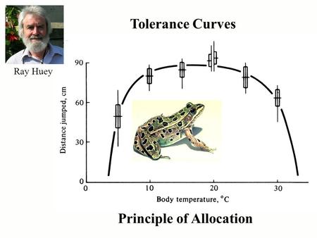 Tolerance Curves Principle of Allocation Ray Huey.