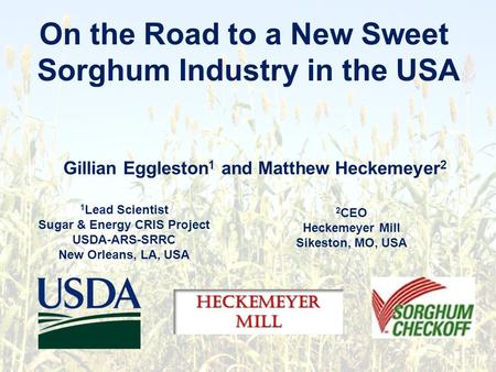 On the Road to a New Sweet Sorghum Industry in the USA