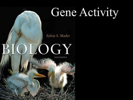 Biology, 9th ed,Sylvia Mader