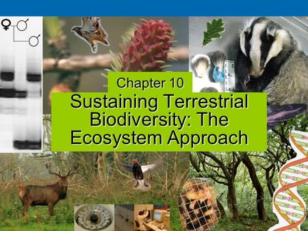 Sustaining Terrestrial Biodiversity: The Ecosystem Approach