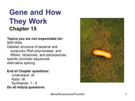 Gene Structure and Function