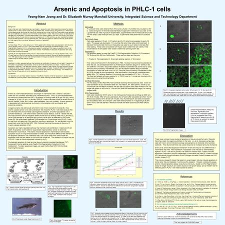 Arsenic and Apoptosis in PHLC-1 cells Yeong-Nam Jeong and Dr. Elizabeth Murray Marshall University, Integrated Science and Technology Department Abstract.