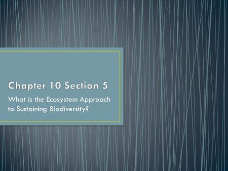 What is the Ecosystem Approach to Sustaining Biodiversity?