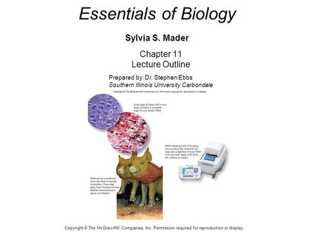 Essentials of Biology Sylvia S. Mader